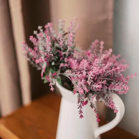 Apartamento Olympia's Cozy *