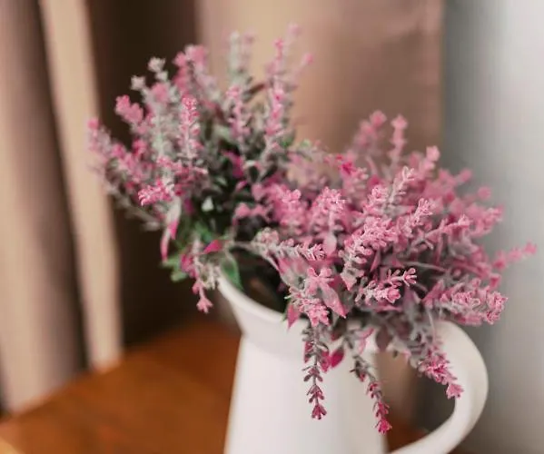 Apartament Olympia's Cozy *